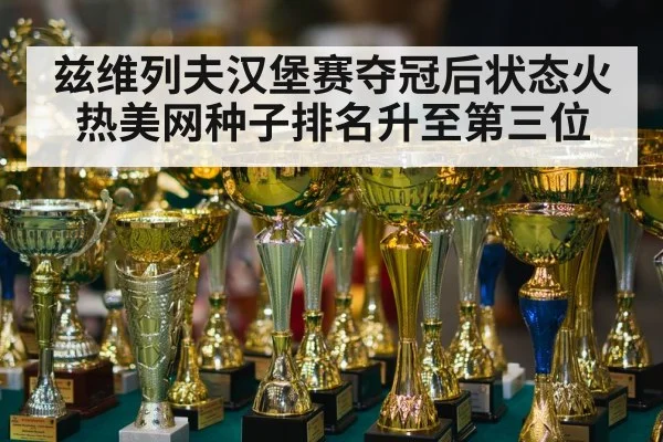兹维列夫汉堡赛夺冠后状态火热美网种子排名升至第三位